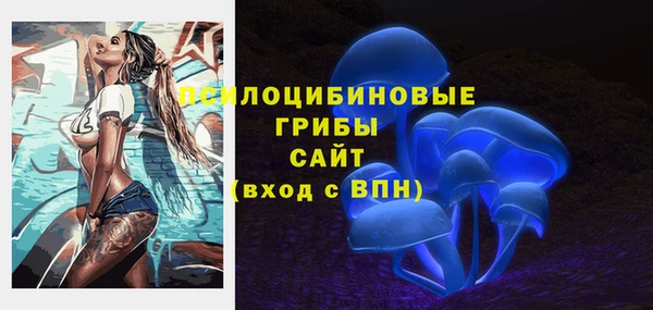 скорость Богородск
